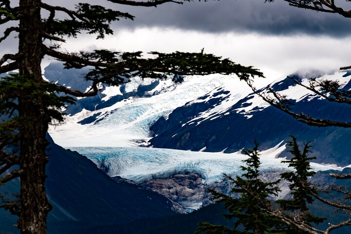 Exquisite Wildlife & Wilderness Photo Tour Anchorage -Whittier - Photo 1 of 22